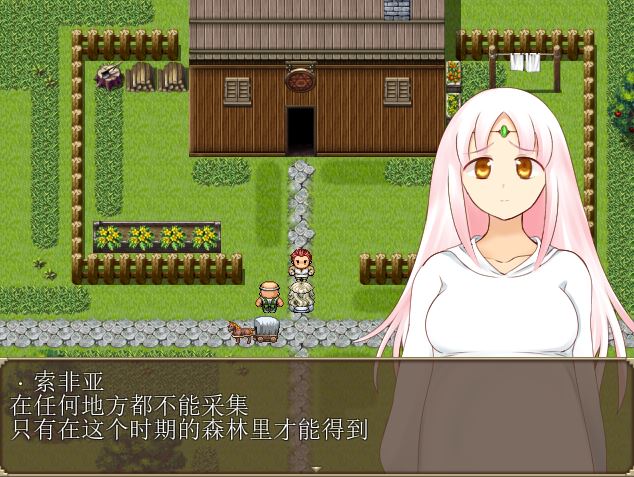 [RPG/电脑]妖精奇迹般的幻想~精翻中文版