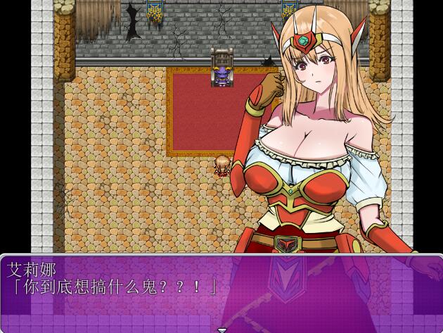 [RPG/电脑]恶魔妈妈的H编年史~精翻汉化版