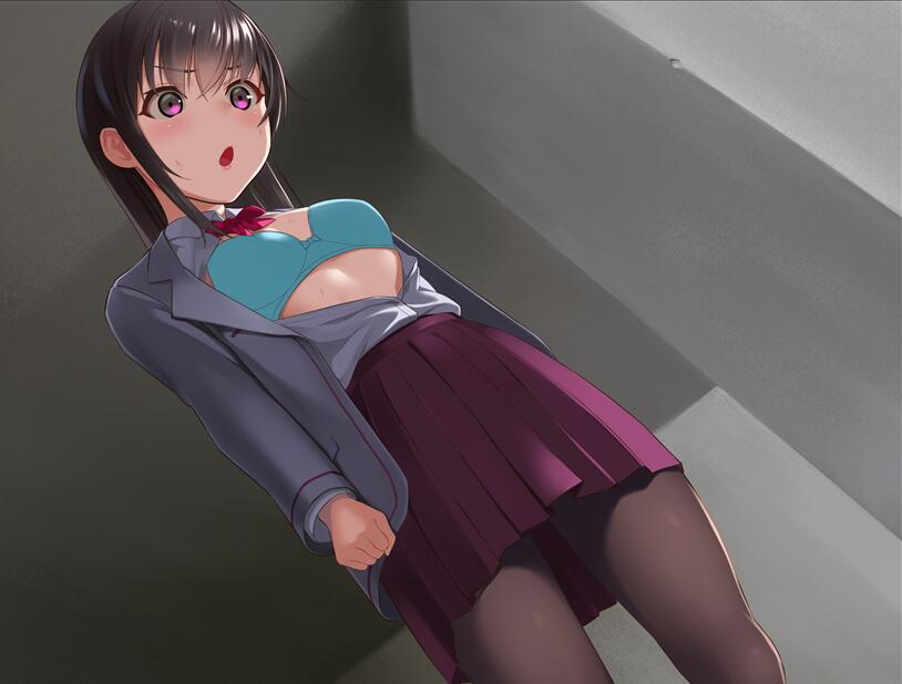 [RPG/电脑]隶属指导~成为非行男校养料的精英~女子学校的学生会~官方中文版