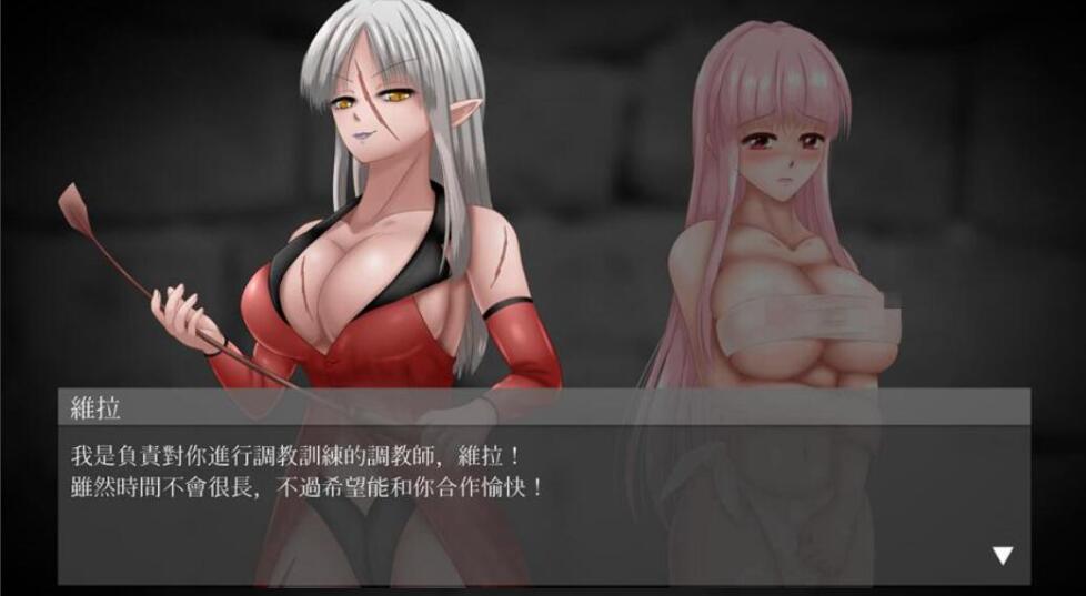 [官中/电脑]UnHolY ToRturEr Ver1.03+DLC逃出监狱~官方中文版